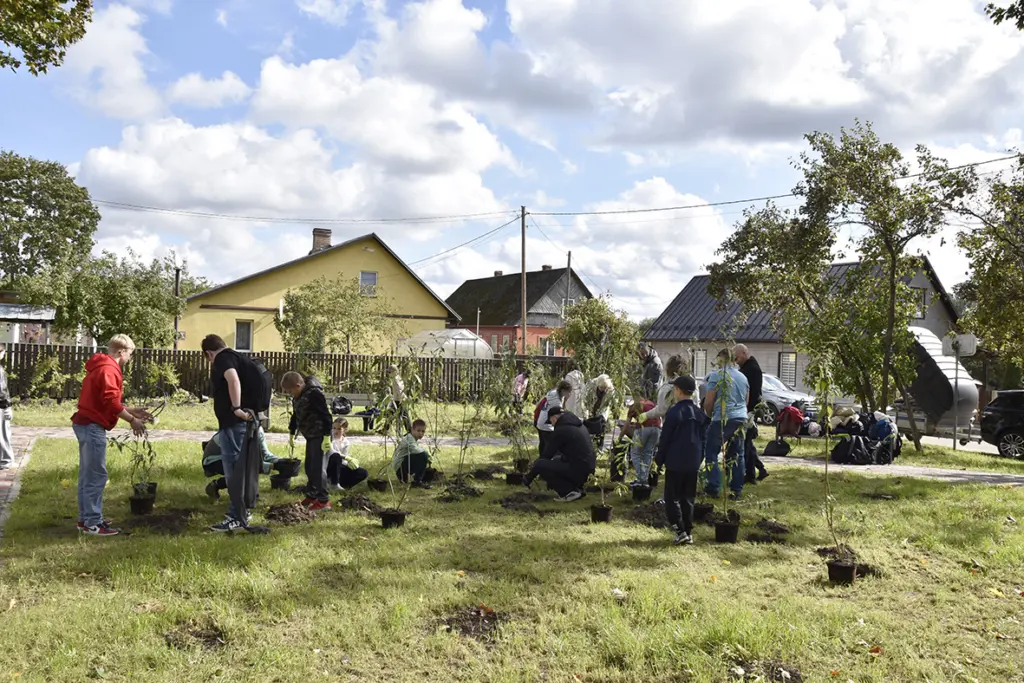 Latgale: Ludzā jaunais skvērs papildināts ar apstādījumiem