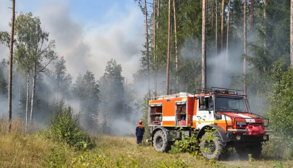 Noslēdzas meža ugunsnedrošais laikposms – šogad dzēsti 264 ugunsgrēki
