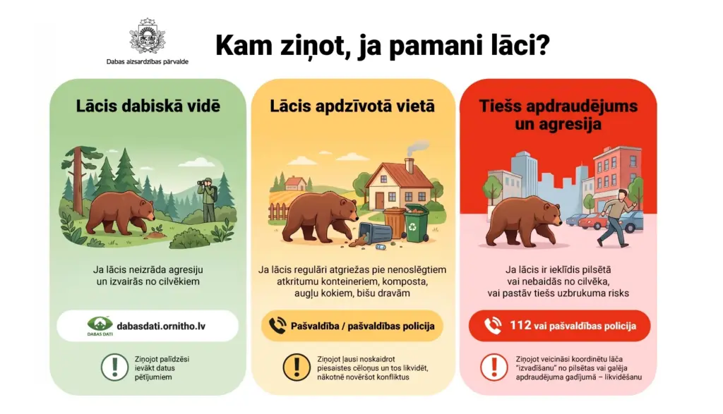 Par mežā manītiem lāčiem aicina ziņot portālā «Dabas dati»